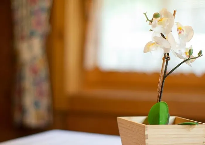 Дом отдыха Farmerhouse By Northsouth Aparthments Зёльден