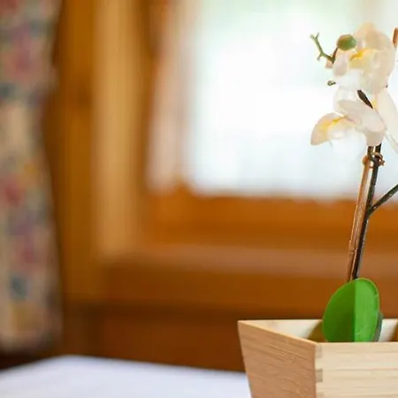 بيت للعطل Farmerhouse By Northsouth Aparthments سولدن